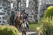 Portugal-Azores-Faial Island Trail